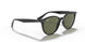 601/9A - Black - Polar Green