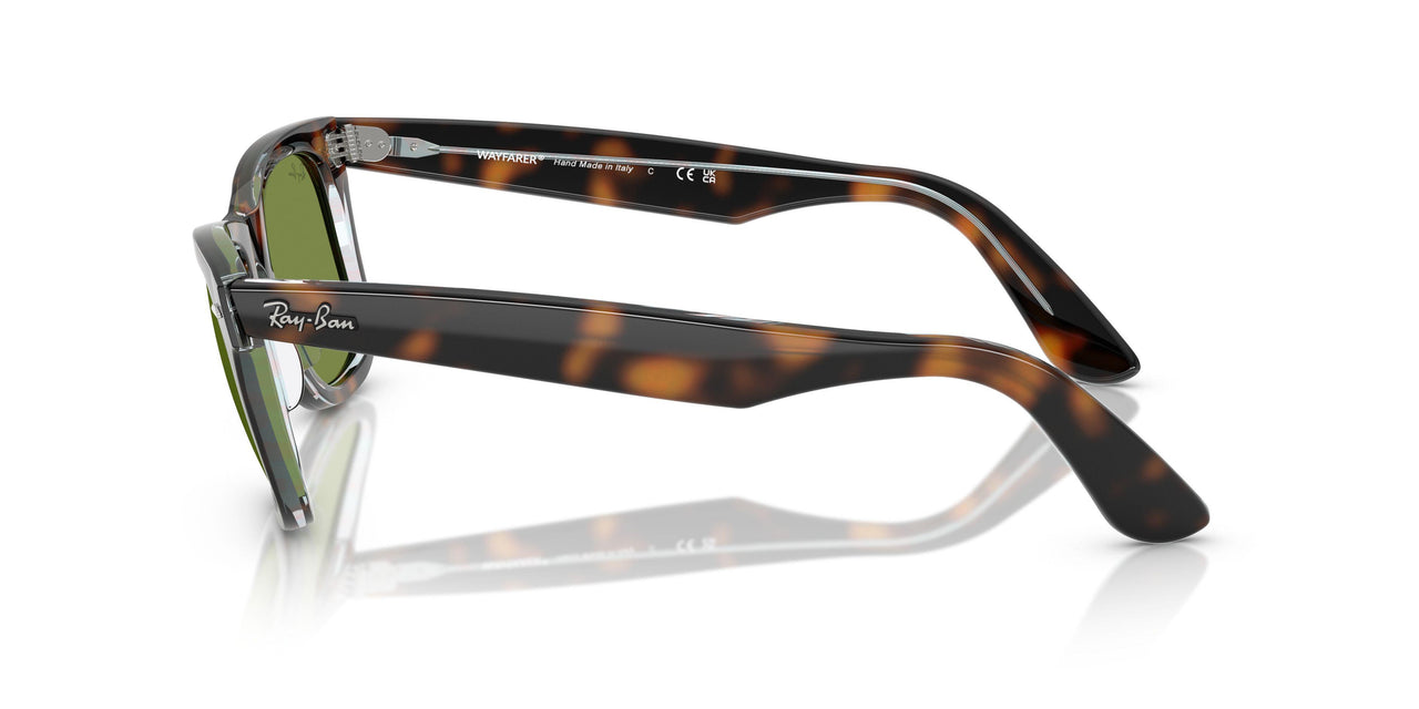 14134E - Tortoise - Green