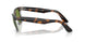 14134E - Tortoise - Green