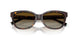 8015T5 - Tortoise - Polar Brown Gradient