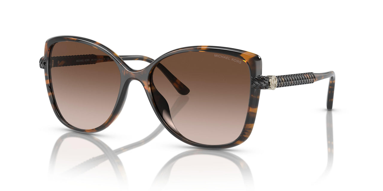300613 - Tortoise - Brown Gradient