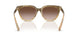 420113 - Brown - Brown Gradient