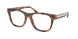 6089 - Tortoise