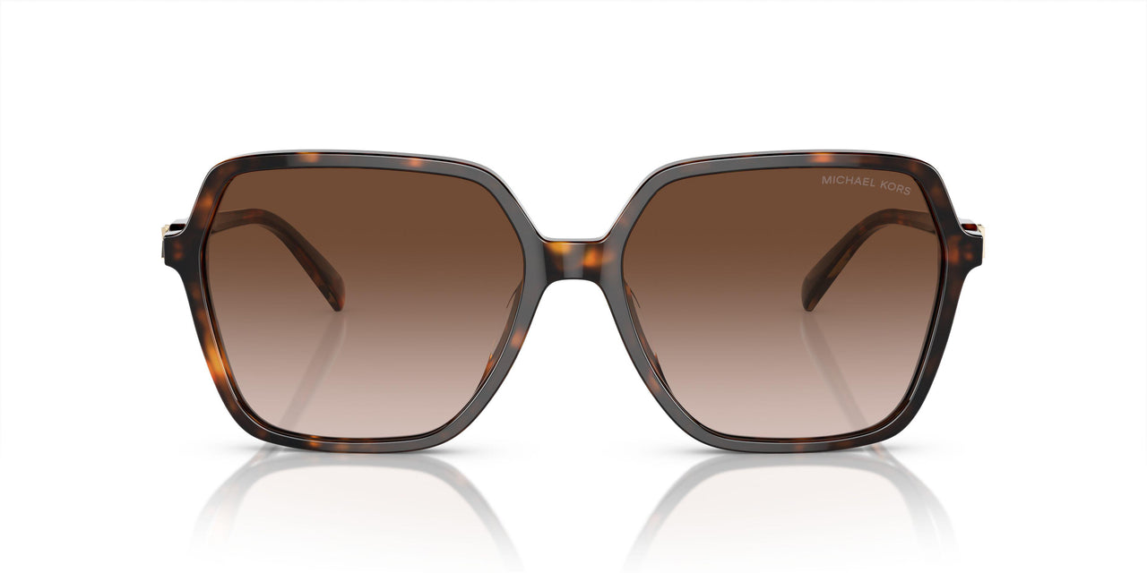 300613 - Tortoise - Brown Gradient