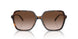 300613 - Tortoise - Brown Gradient