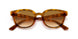 647551 - Yellow Light Havana - Clear Gradient Brown