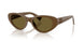 23R09Z - Green - Dark Brown