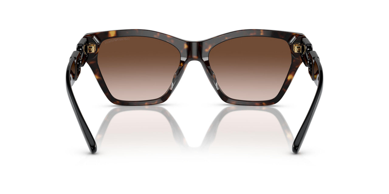 502613 - Tortoise - Gradient Brown