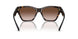 502613 - Tortoise - Gradient Brown