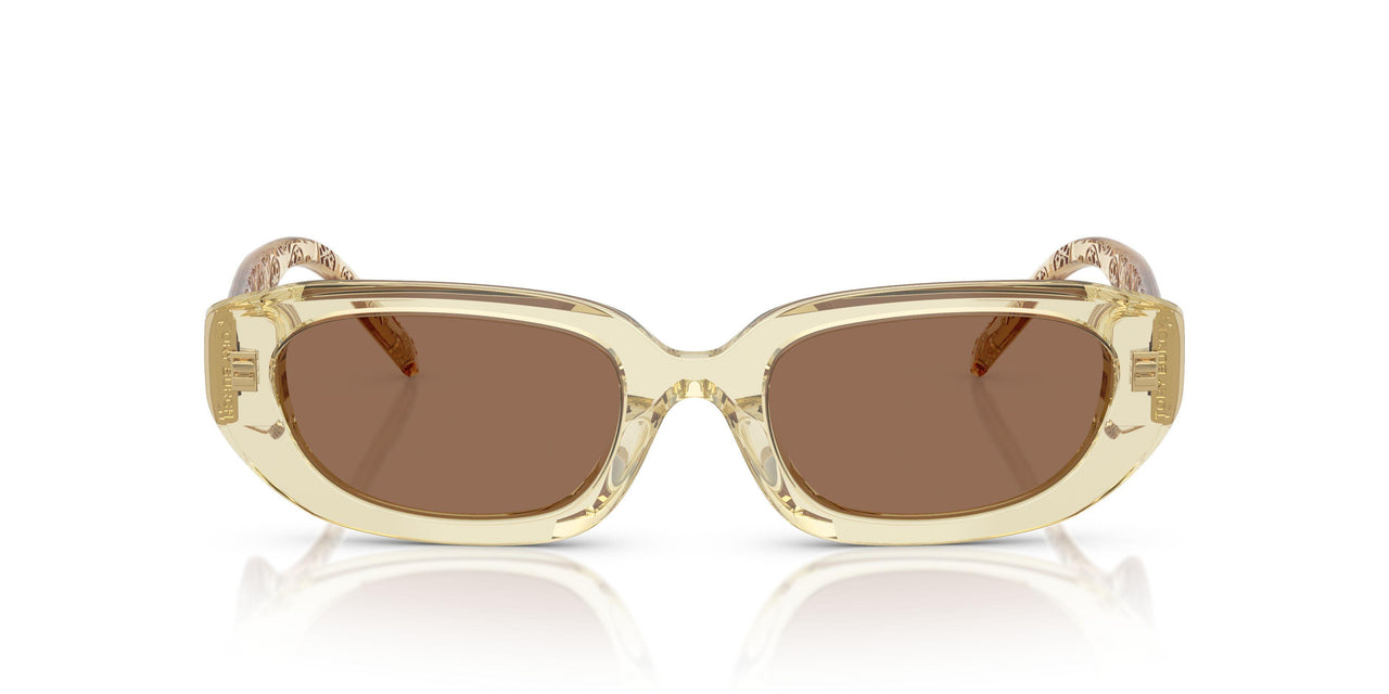 202673 - Yellow - Brown