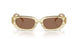 202673 - Yellow - Brown