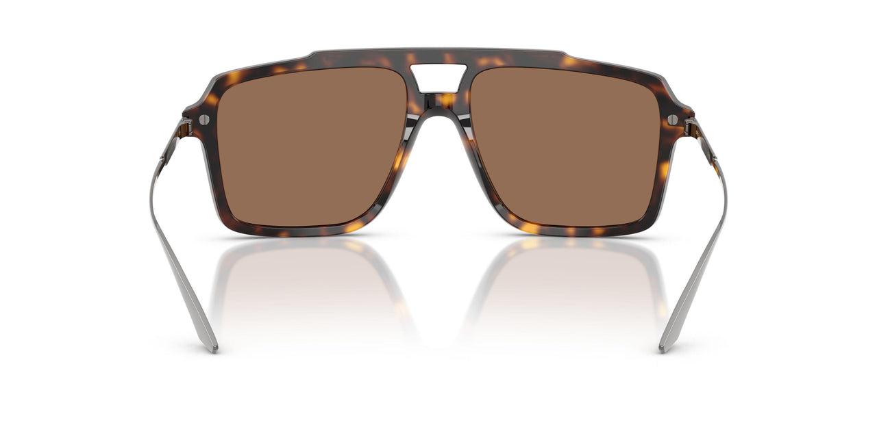 502/73 - Tortoise - Dark Brown