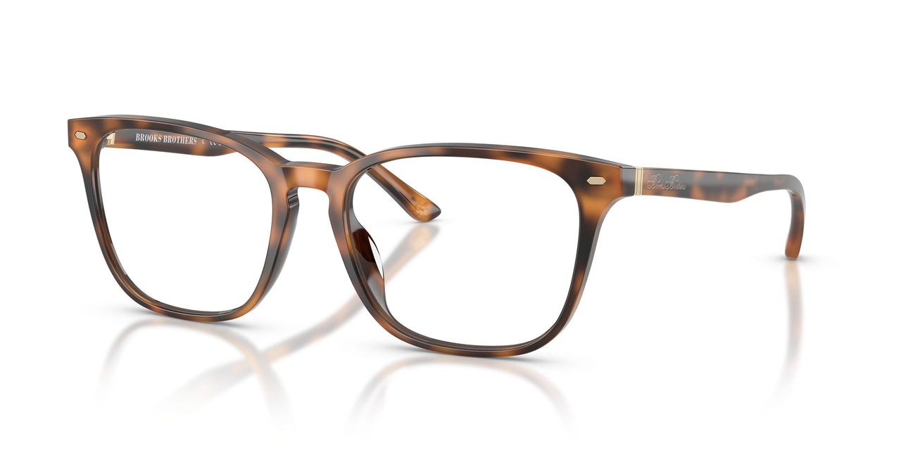6161 - Tortoise
