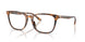 6161 - Tortoise