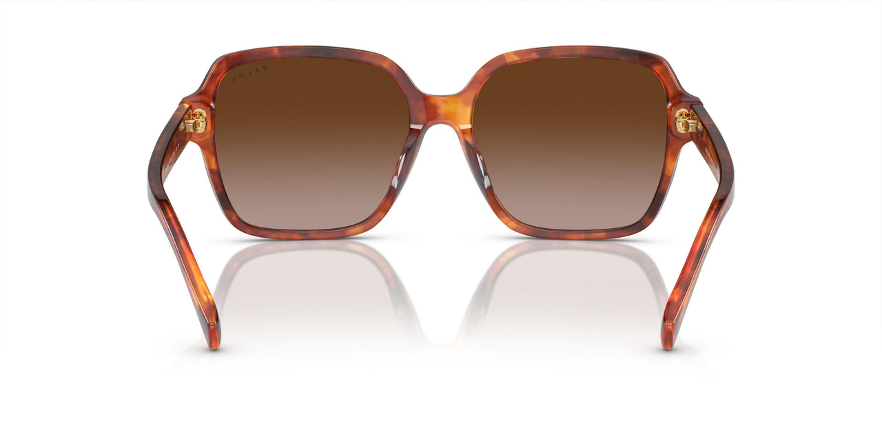 601113 - Orange - Gradient Brown