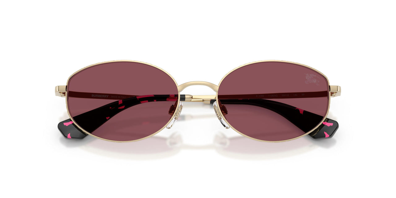 11095Q - Gold - Purple Polarized