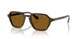 616933 - Green - Brown