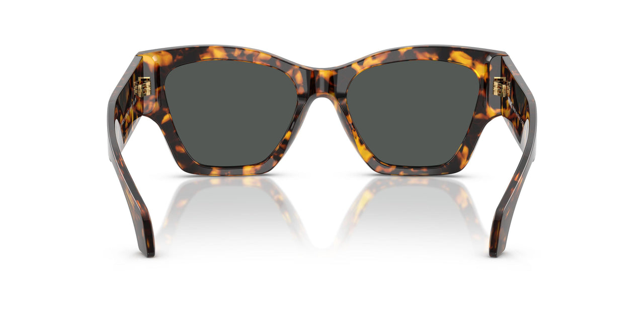 551487 - Tortoise - Dark Grey