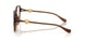 5534 - Brown