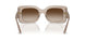 299013 - Brown - Gradient Brown