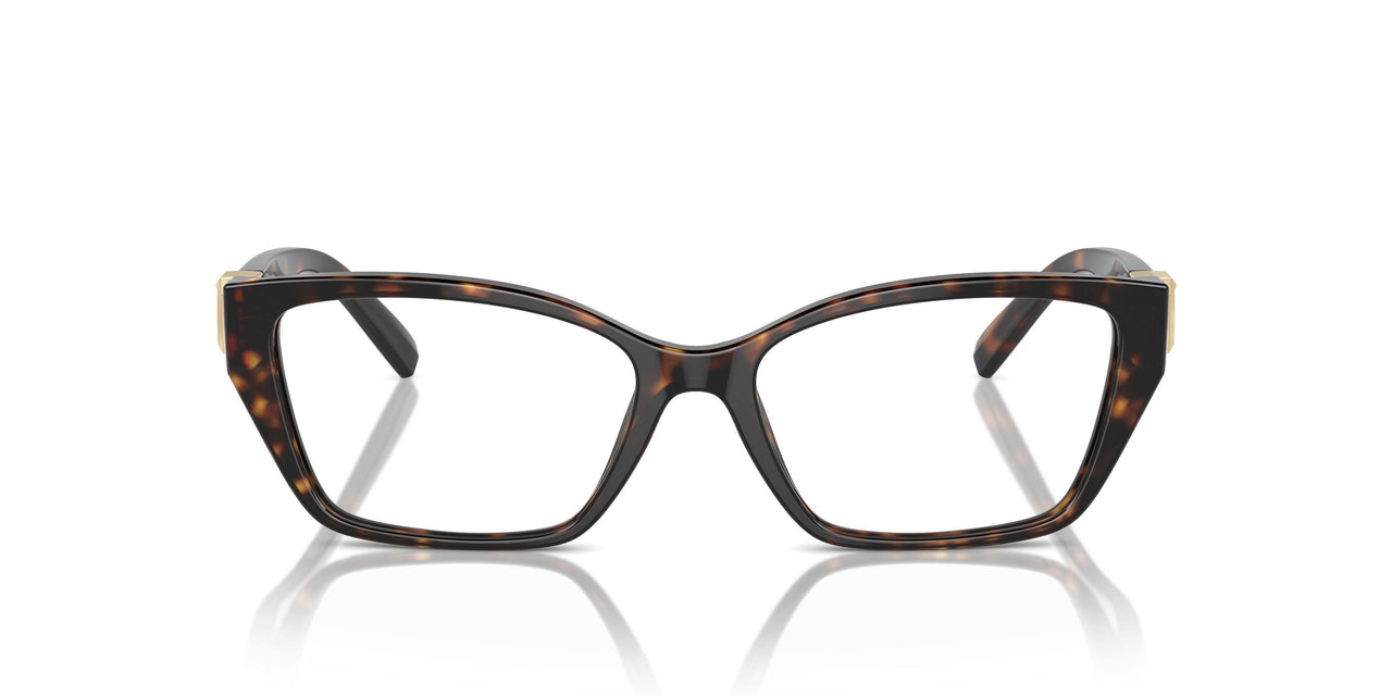 8015 - Tortoise