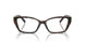 8015 - Tortoise