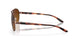 407914 - Rose Gold - Brown Gradient Polar