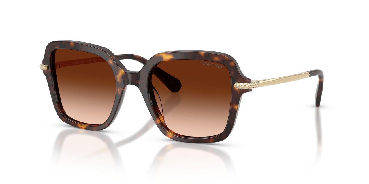 100274 - Tortoise - Gradient Brown