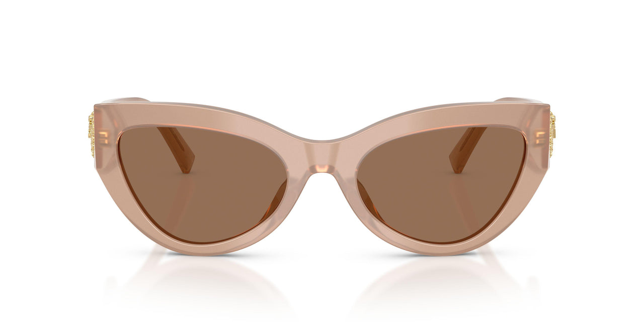304273 - Brown - Dark Brown