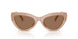304273 - Brown - Dark Brown