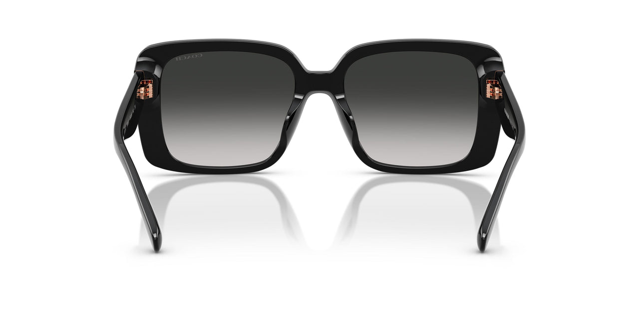 50023C - Black - Grey Gradient