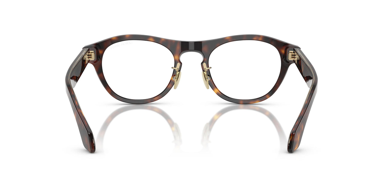 50261W - Tortoise - Clear