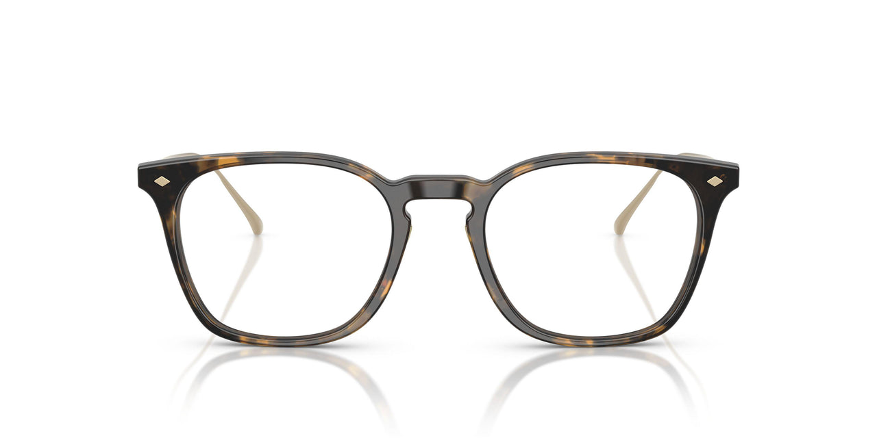 6207 - Tortoise