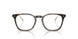 6207 - Tortoise