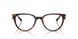 5002 - Tortoise