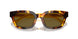 618173 - Tortoise - Dark Brown