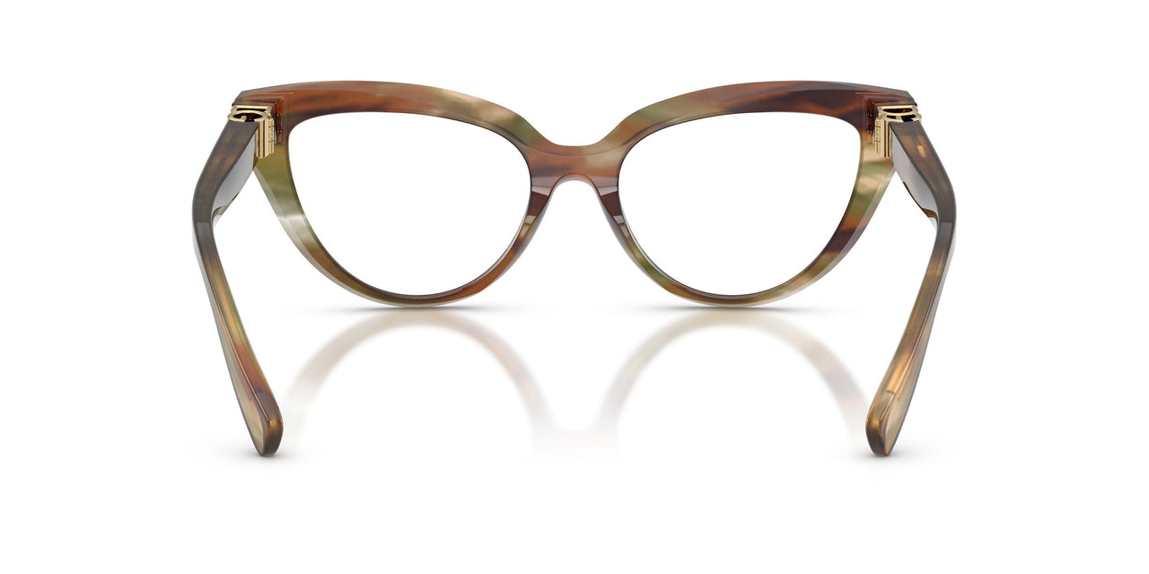 3446 - Brown