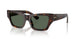 300271 - Brown - Dark Green