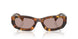 14L20I - Tortoise - Light Purple Brown