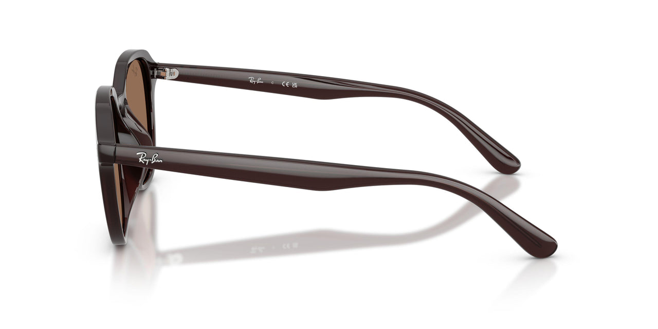 623173 - Brown - Dark Brown