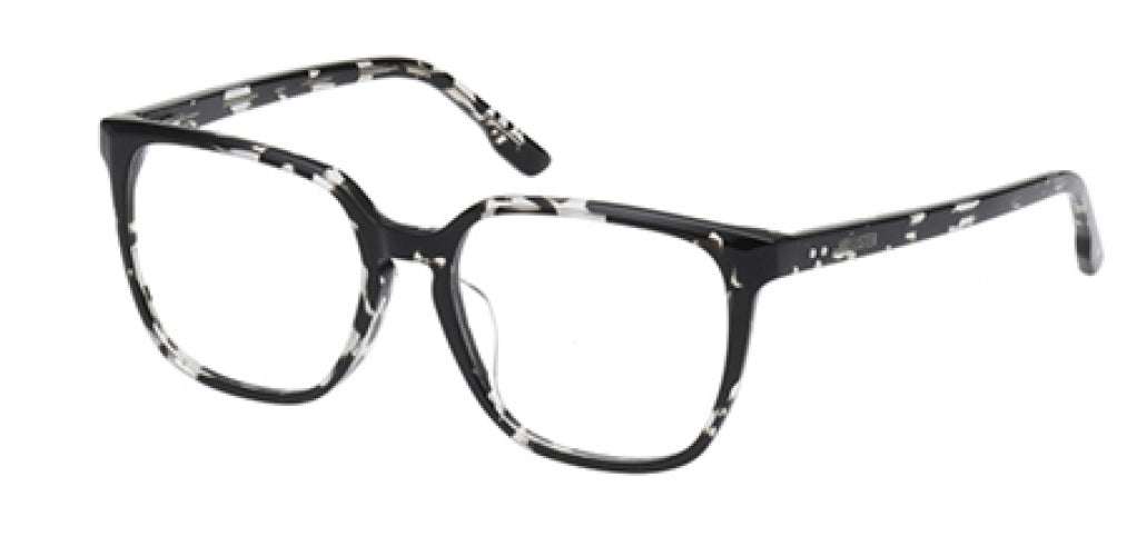 HOLLISTER 50040 Eyeglasses