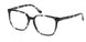 HOLLISTER 50040 Eyeglasses