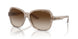 824013 - Brown - Gradient Brown