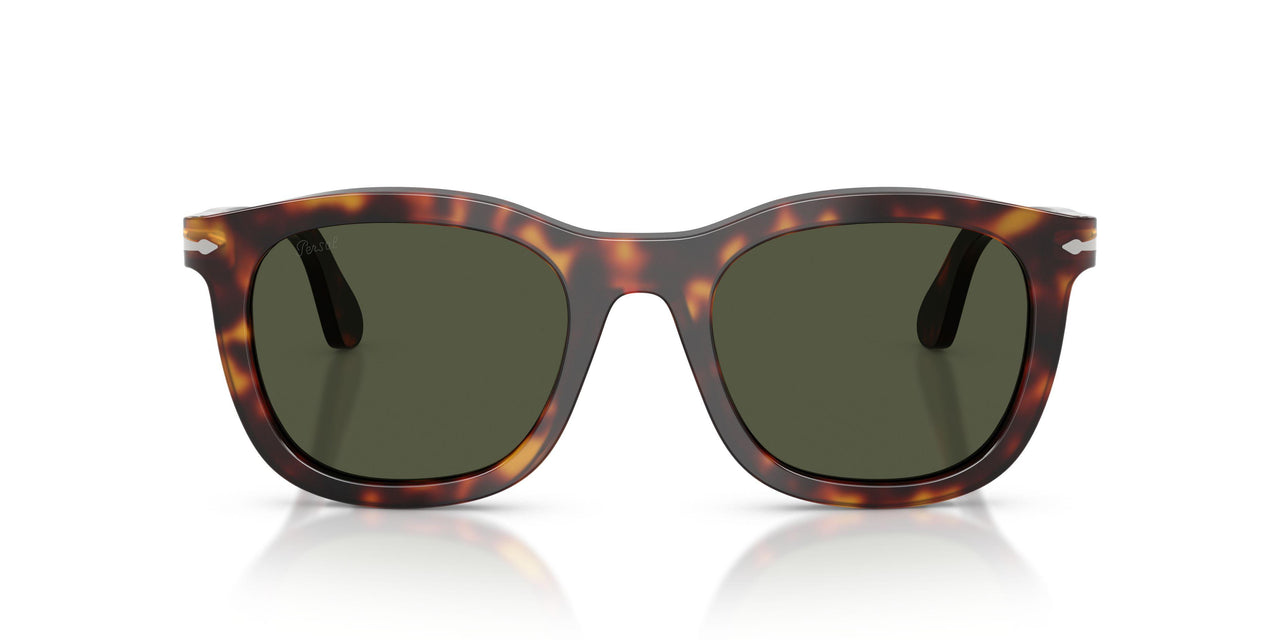 24/31 - Tortoise - Green