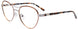 10 - Satin Copper & Shiny Grey