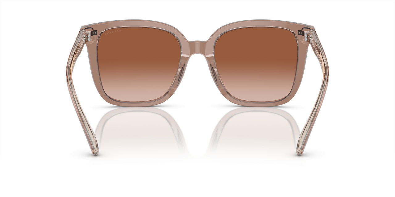 577913 - Brown - Brown Gradient