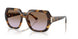 317968 - Tortoise - Violet Gradient Brown