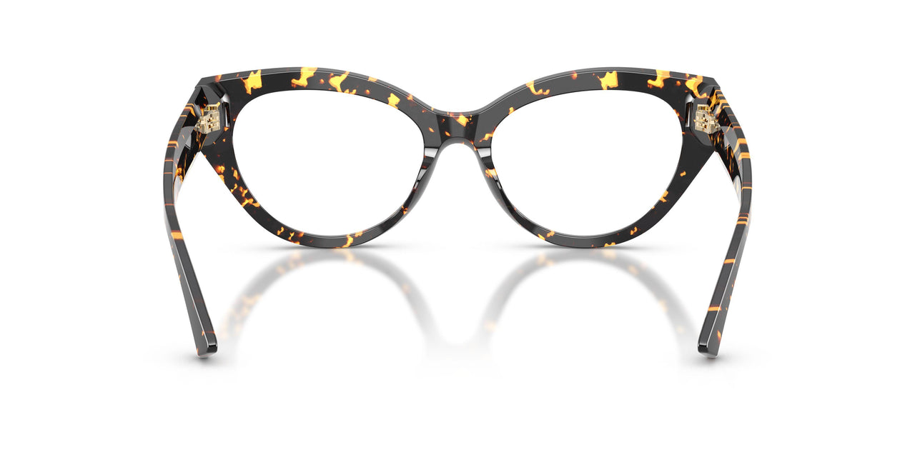 5119 - Tortoise