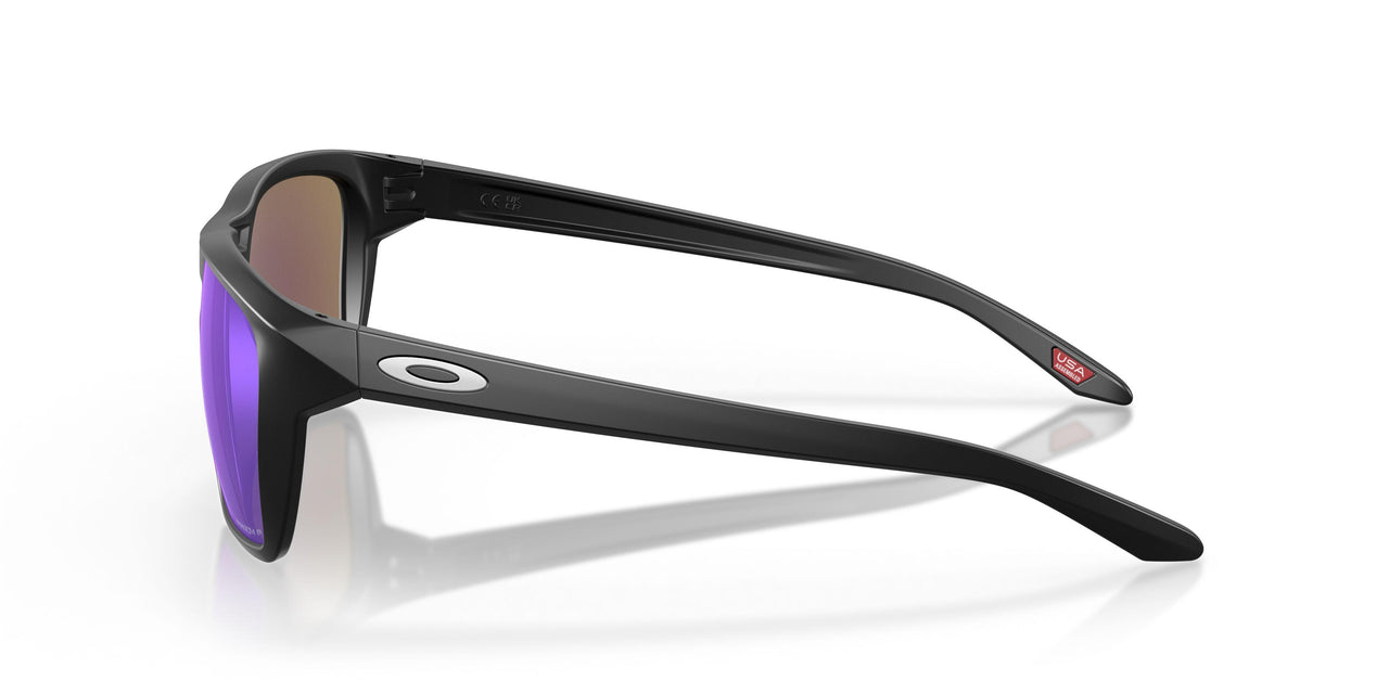 944834 - Black - Prizm Sapphire Polarized