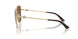 300683 - Gold - Polarized Brown